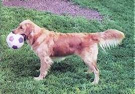 kandi.jpg (15038 bytes)