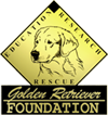Golden Retriever Foundation